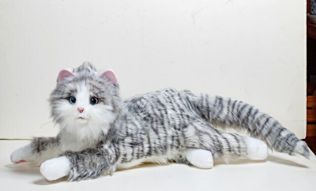 楽天市場】夢ねこ ヴィーナス セガトイズ : クロソイド屋 楽天市場店