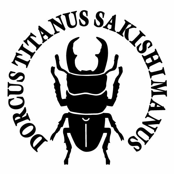 サキシマヒラタクワガタ Ver.06 カッティングステッカー 大判Lサイズ 2枚組 幅約26.5cm×高約25.8cm ハンドメイド