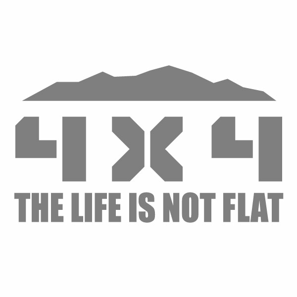 4X4 TLNF 030 グレー（マウント） カッティングステッカー 大判Lサイズ 2枚組 幅約29cm×高約17cm ハンドメイド デカール