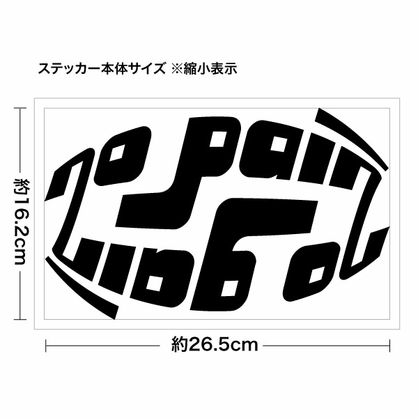 NO PAIN NO GAIN PP012 （ノーペインノーゲイン） カッティングステッカー 大判Lサイズ 2枚組 幅約26.5cm×高約16.2cm ハンドメイド デカール