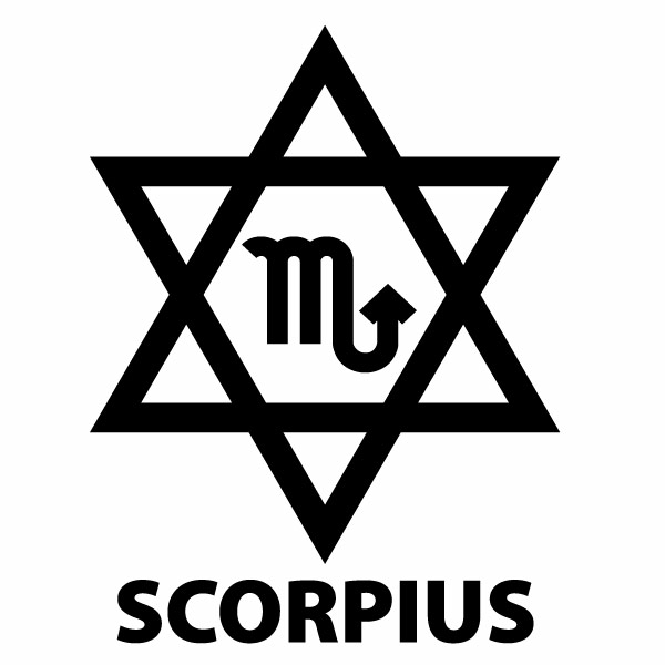 SCORPIUS（さそり座）Ver.09 カッティングステッカー 大判Lサイズ 2枚組 幅約20.5cm×高約27cm ハンドメイド 蠍座 星座ステッカー 車 ウインドウステッカー