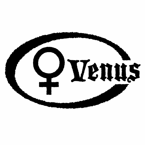 金星記号 Venus（腐食調）Ver.009 カッティングステッカー 大判Lサイズ 2枚組 幅約27.5cm×高約15.6cm ハンドメイド 惑星記号ステッカー