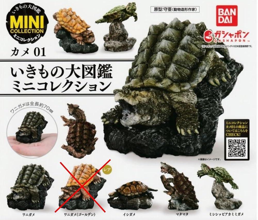 バンダイ ガチャ カメ 第３弾セット Amazon.co.jp: いきもの大図鑑 「かめ」シリーズ 第3弾 KAME 03
