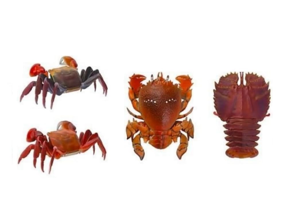 楽天市場】01.タカアシガニ 【いきもの大図鑑 かに02 バンダイ 甲殻類