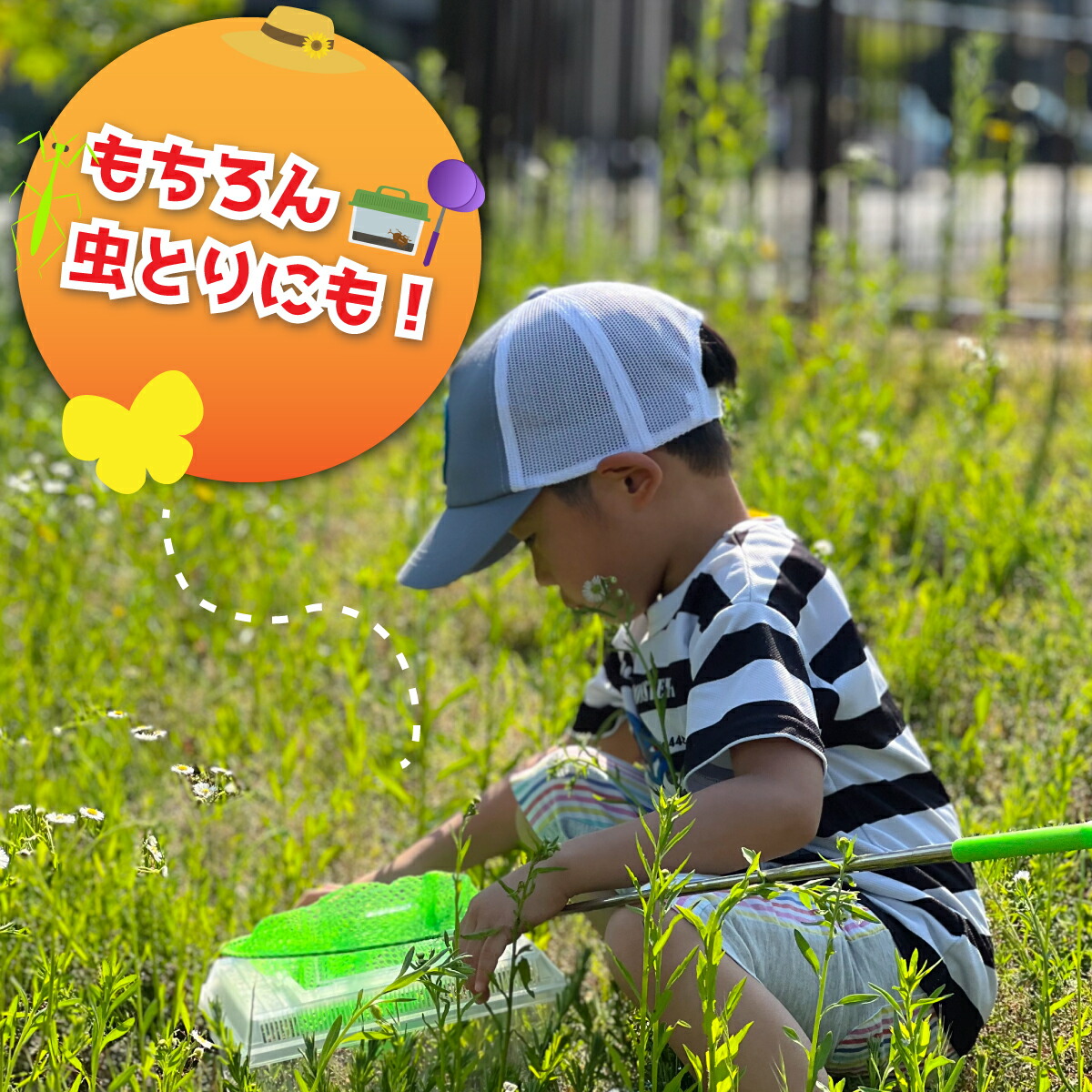 新品登場 虫取り網 虫かご 折り畳み 昆虫採集 夏休み アウトドア 自然 昆虫ケージ