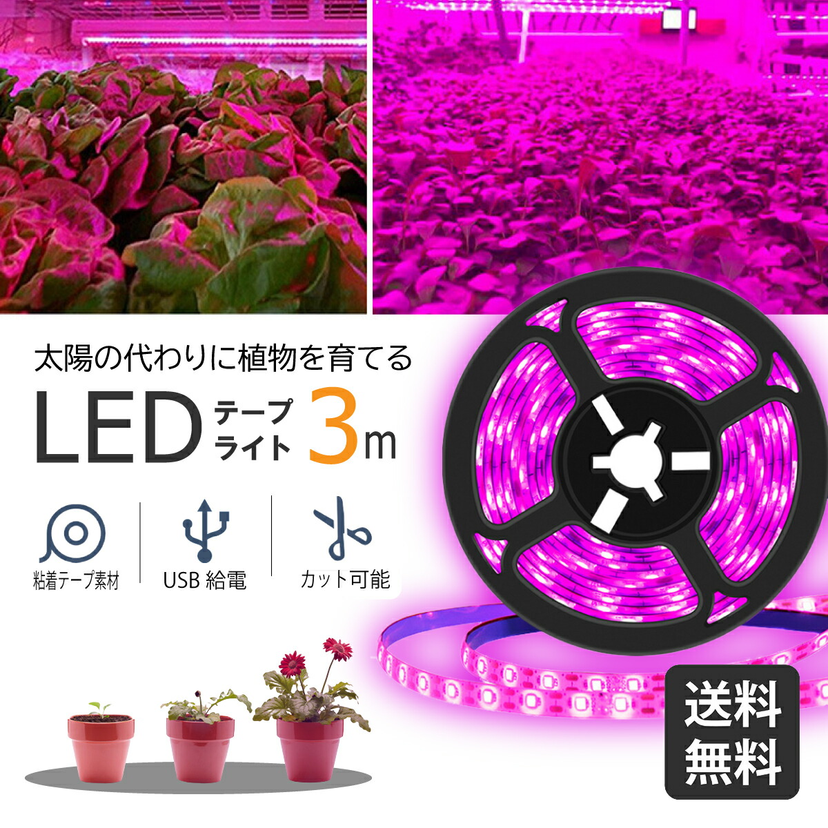 中古品：hipargero HG800 植物育成ライト LED - メルカリ