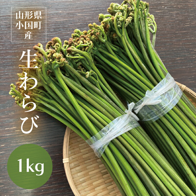 Amazon | わらび 山菜 山形県小国町産「新鮮生わらび」 2kg