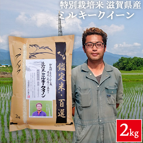 楽天市場】令和6年産 滋賀県産 特別栽培米(減化学肥料・減農薬 楽天市場】令和6年産 滋賀県産 特別栽培米(減化学肥料・減農薬