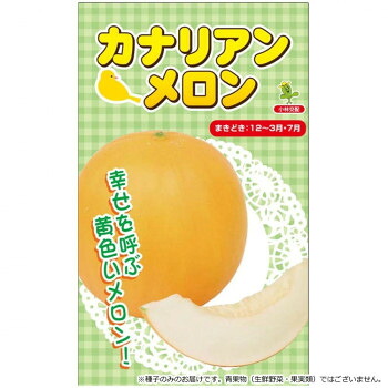 小林種苗 メロン種子 カナリアン　8134　100粒