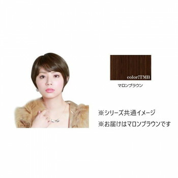 プリシラ オールウィッグ ノーブルショートボブ A-691 耐熱　TMB・マロンブラウン