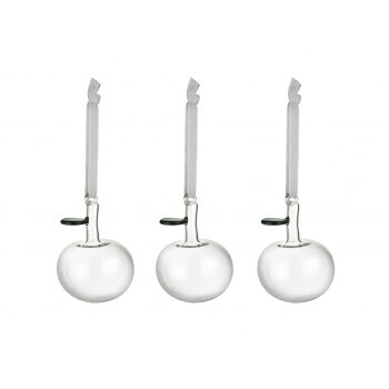 (A) Iittala イッタラ ガラスアップル3個セット クリア 1071497