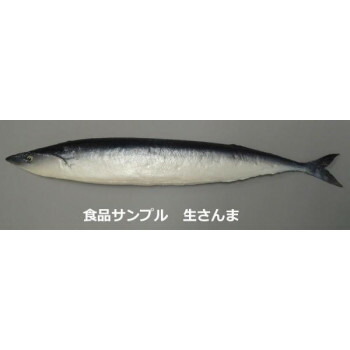 日本職人が作る 食品サンプル　生さんま　IP-500