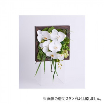 Phalaeno+ アーティシャルフラワー 造花 胡蝶蘭アレンジ ファレノ フューメ F-6193|なないろ本舗店