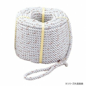 プロメイト ナイロンロープ三ッ打ち　φ12x30m R-1203N