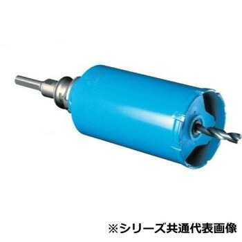 選りわける ガルバウッドコアSDSシャンク 70 SE47492