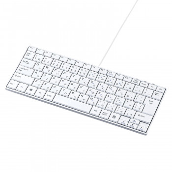 サンワサプライ USBスリムキーボード テンキーなし ホワイト SKB-SL18WN
