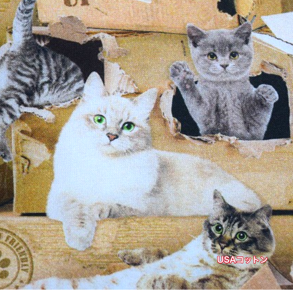 ねこ 尾道市立美術館 on X: 