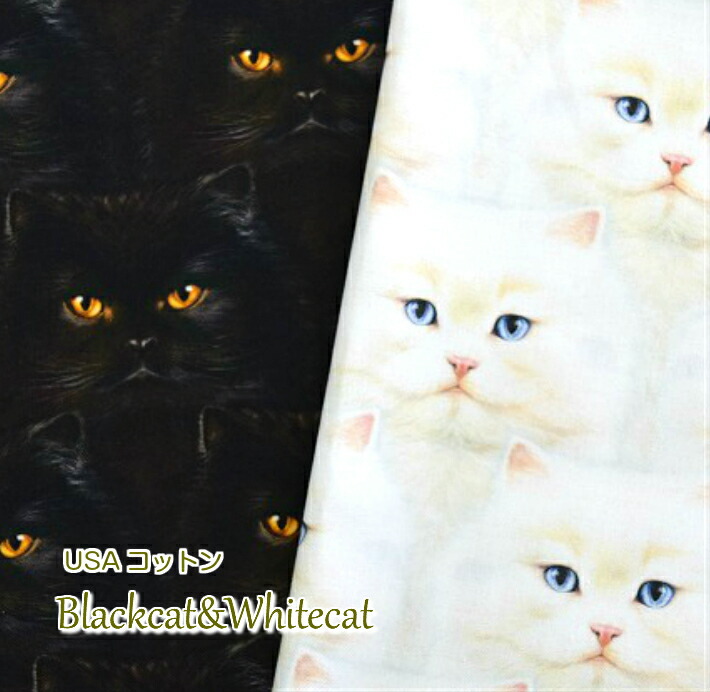 楽天市場】猫好き集まれ！USA FABRIC 【Timeless Treasures】ゼラニウムと猫/コットン100％/猫/ねこ/生地/布/ネコ生地// 綿/コットン/輸入生地/ブランド生地/USAコットン : fabric-store heartsewing