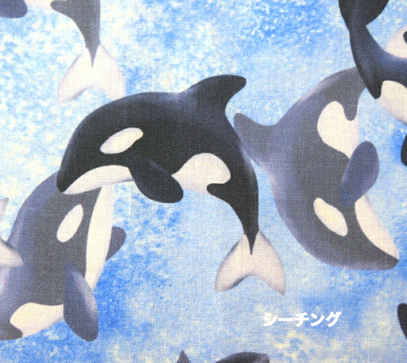 楽天市場】【50cm単位】良質なダブルガーゼで作った♪【デジタル