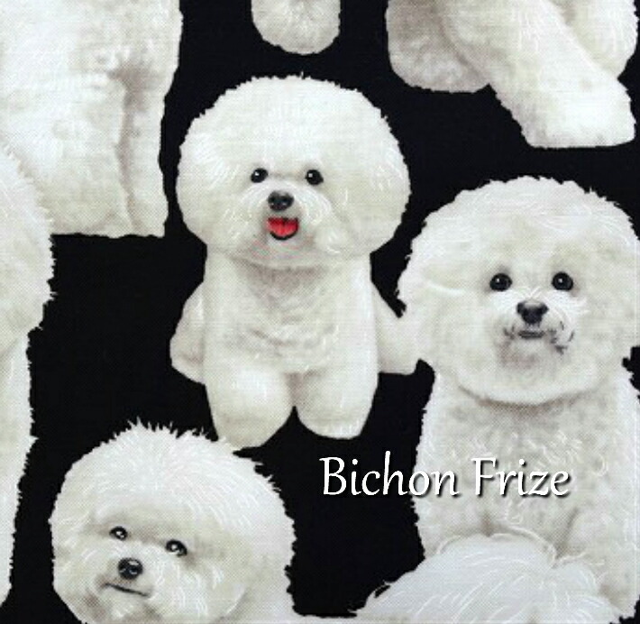 楽天市場 Usafabric Timelesstreasures Bichon Frize ピジョンフリーゼ 生地 布 綿 いぬ イヌ コットン 輸入生地 Usaコットン Fabric Store Heartsewing