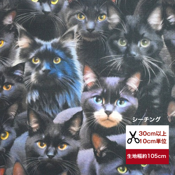 ねこ ひろっくす[Hi69xxx] on X: 