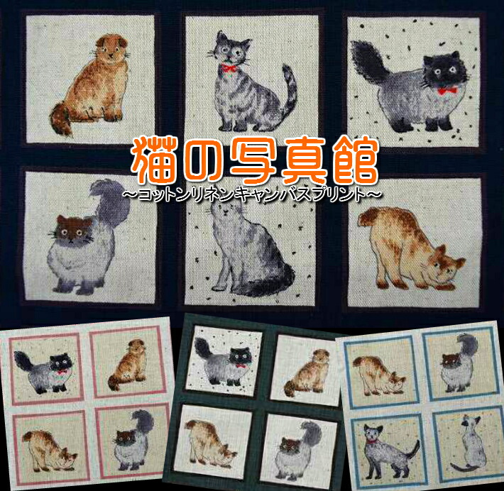 楽天市場】猫好き集まれ！USA FABRIC ROBERT KAUFMAN「BUSAKWA CAT」/コットン100％/猫/ねこ/生地/布/ネコ生地// 綿/コットン/ : fabric-store heartsewing