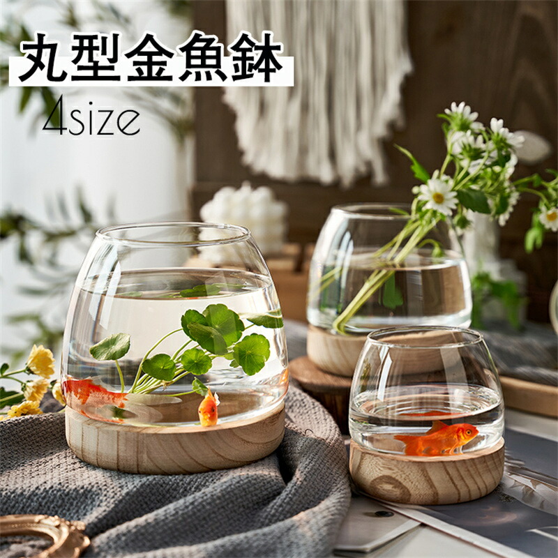 楽天市場】白金彩丸水槽 (大) 信楽焼 金魚鉢 水槽 陶器 置物