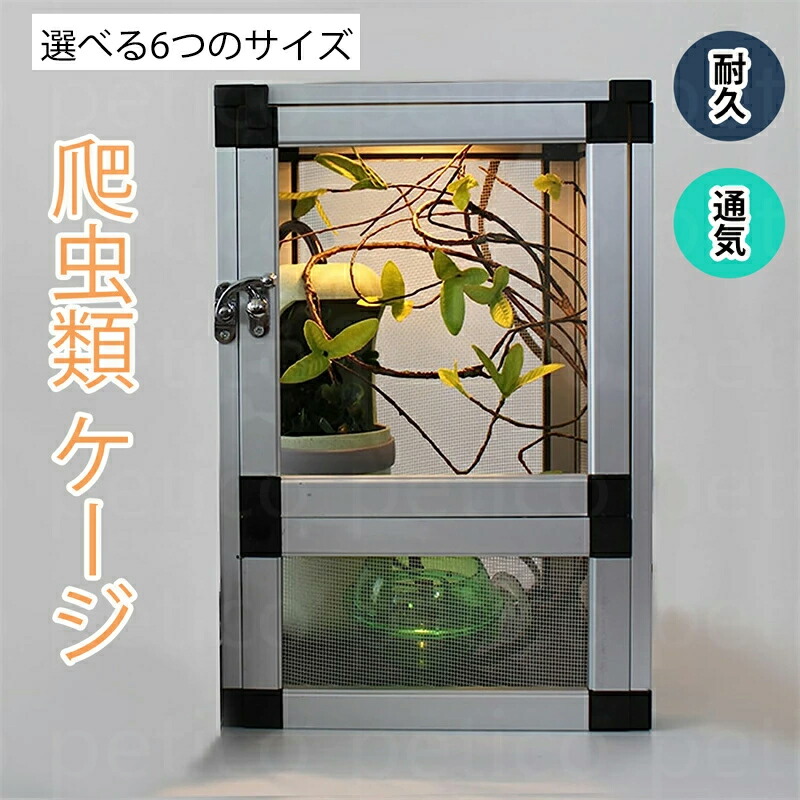 楽天市場】小鳥 ヒーター 爬虫類 保温球 保温電球カバー付 100W