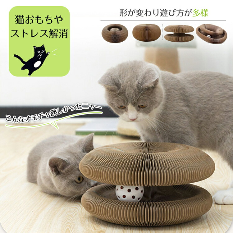 楽天市場】猫用 おもちゃ マジック オルガン 段ボール 爪とぎ 猫 鈴