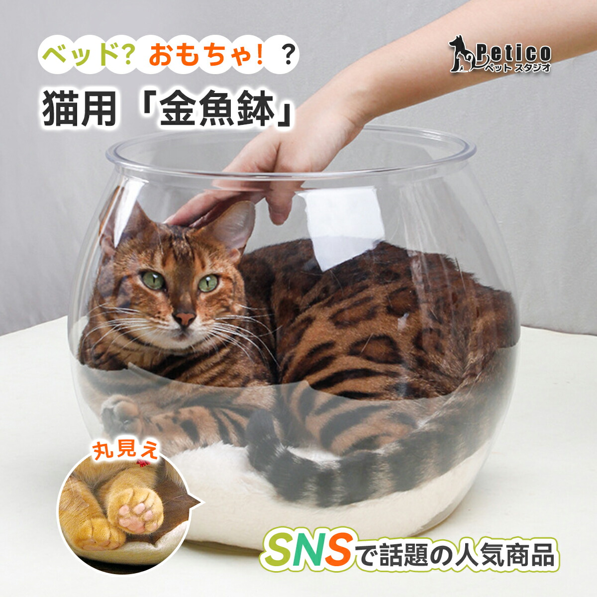 楽天市場】【キャットベッド】にゃんこの金魚鉢 キャットベッド