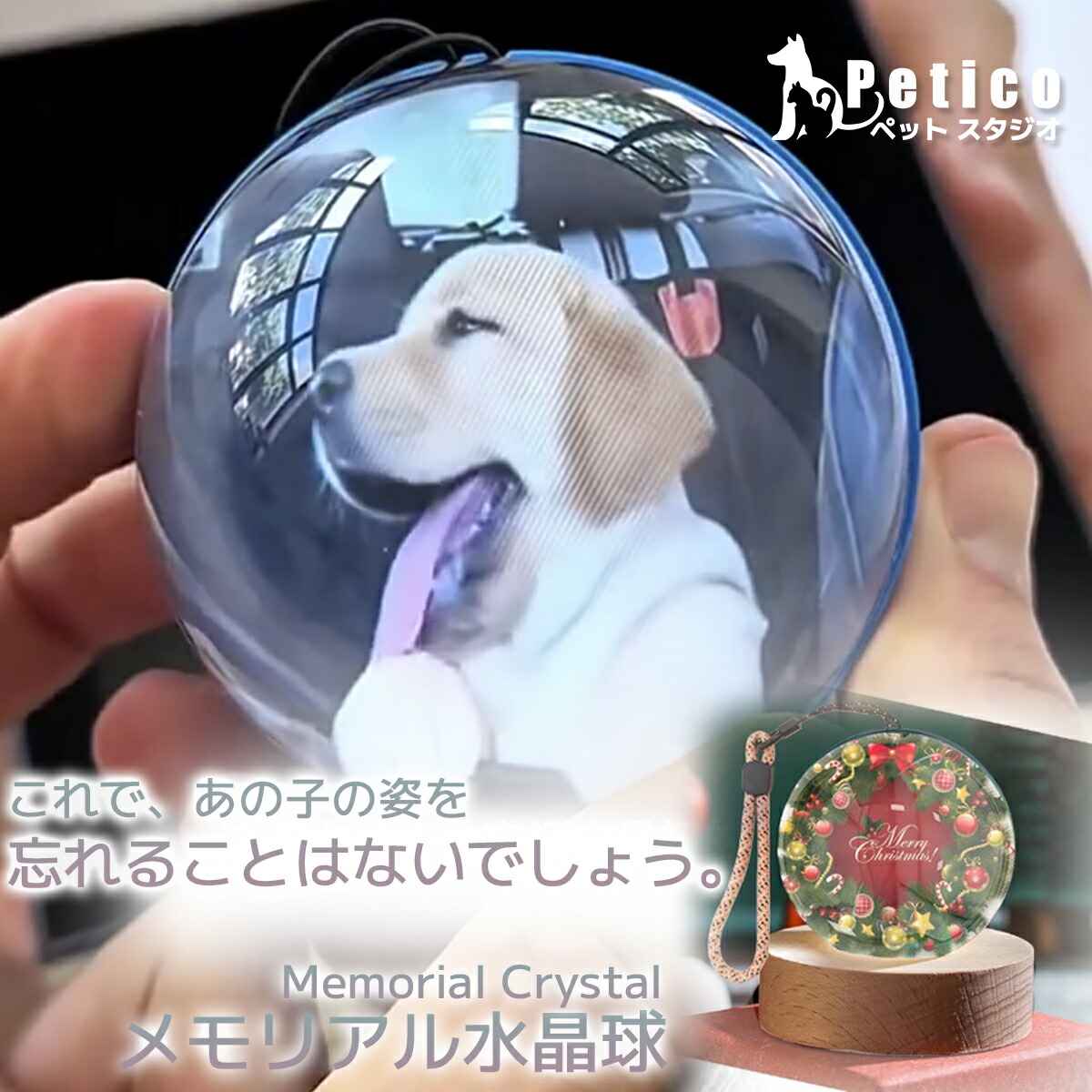 Petmoon 一般受け愛玩動物用ドライヤー厳選！