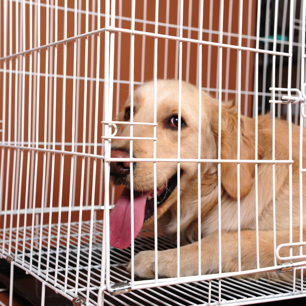 ペットケージ 折り畳み式 犬用ケージ トレー付き Lサイズ 出入り口2つ ワンちゃん 犬小屋 組み立て簡単 猫用 小型犬 中型犬 大型犬 引き出しトレー 小動物 ウサギ 猫 収納便利 Sermus Es