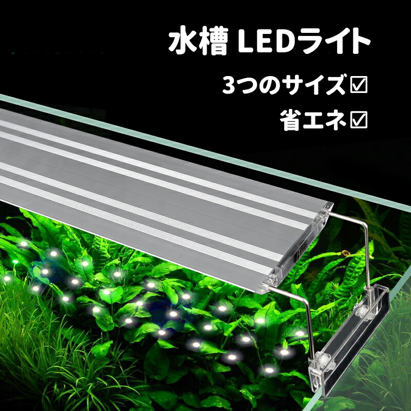 水槽 ライト Led アクアリウム Mサイズ ライト 水槽照明 水槽対応 Led水槽ランプ 熱帯魚 水草育成 淡水 海水両用 水族館照明 水中ランプ 観賞魚飼育 長寿命 省エネ 観賞魚 防水 水陸両用 熱帯魚ライト 観賞魚飼育用 アクアリウムライト Rsvpserves Org