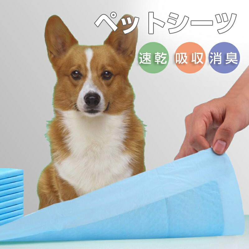 楽天市場】ペットシーツ トイレシート ペットシート 使い捨て 強力吸水 消臭シート 大容量 犬 猫 小動物 ペット用品 速乾 吸収 抗菌消臭タイプ  介護用 : Petico