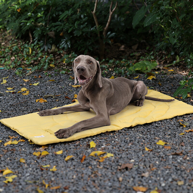 キャンプ ペット マット 汚れ防止 撥水加工 シート 小型犬 中型犬 大型犬 猫用 ペットシーツ 洗える 漏れ防止 繰り返し使える ドライブ