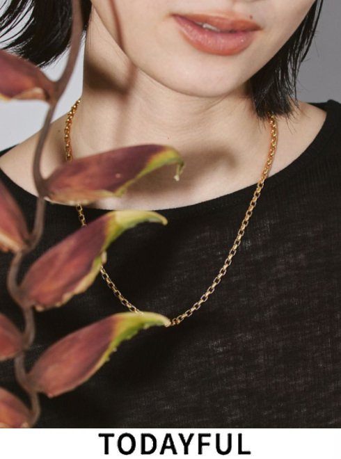 【即日出荷】【待望追加】 TODAYFUL トゥデイフル Chain Choker (Silver925) 25秋冬3 12110922 12990908 ネックレス チョーカー チェインチョーカー 吉田玲香 アクセサリー 秋小物 【新作】 クリマスマギフト 【ラッピング】