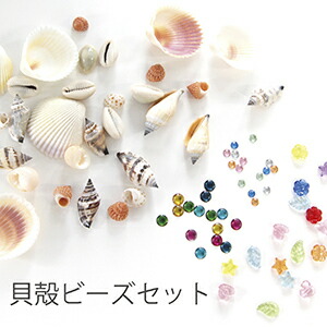 楽天市場】巻貝の貝殻 夏 マリン 海 サマー 夏休み 10g Kai-002