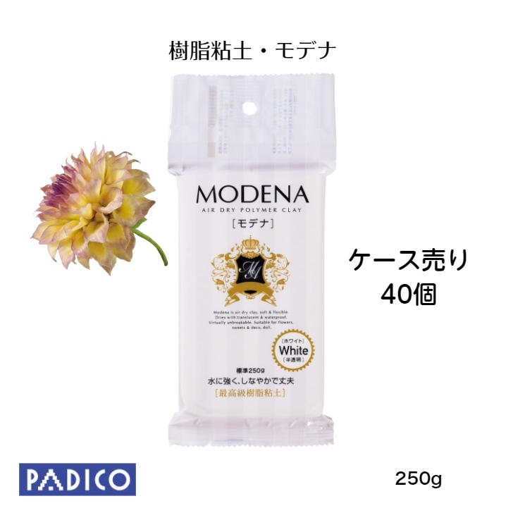 【パジコ堅苦しさ販売店】【貨物輸送無料】 図工 粘 かるい 御前上等 ねんど 脂粘 モデナ 250g 乾くと耐水性 仕立て上げる 30%OFF 40個容れもの売り Air dry clay 粘ねんど 脂 粘 単色 仕立て上げる 手芸 手作り