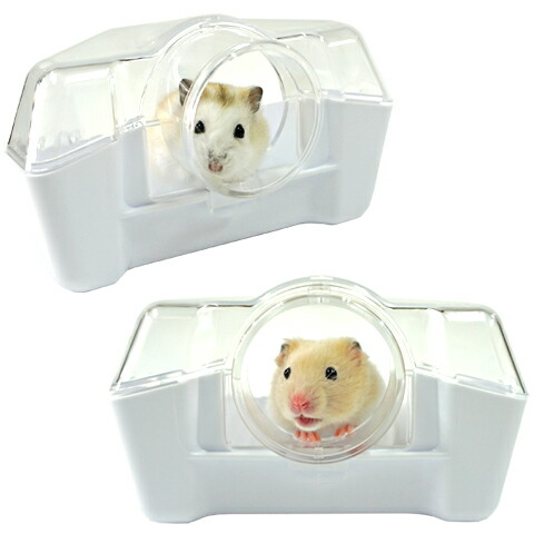 シャイニー45 ハムスター 小動物 51EtQ5eT3XL.jpg_BO30,255,255,