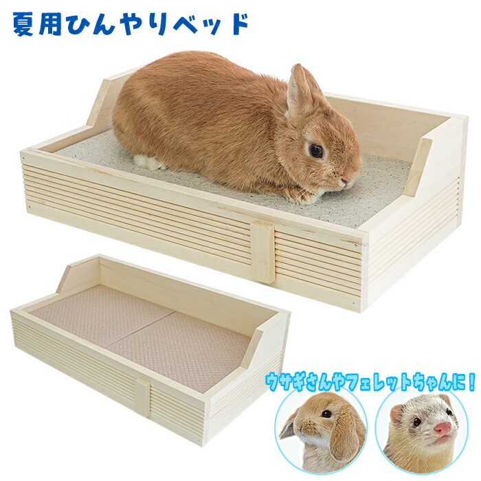 楽天市場】ラビットドリーム ベーシック 1.5kg : 小動物専門店ヘヴン