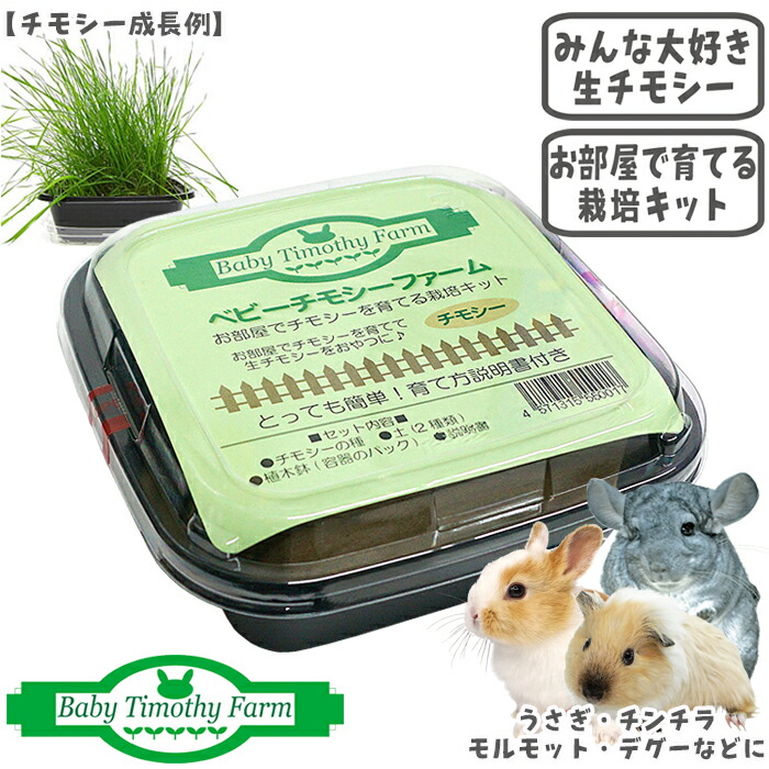 楽天市場】草食小動物のきわみ トリーツビタミンC : 小動物専門店ヘヴン