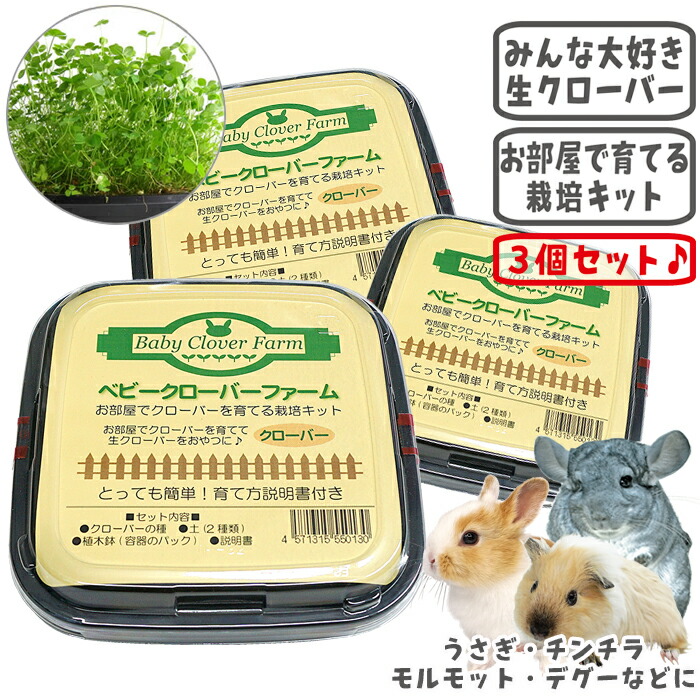 楽天市場】モルモットフード ソフトタイプ400g【3個セット・1個あたり