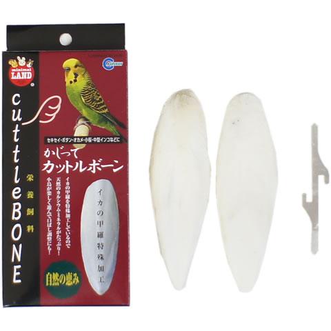 楽天市場 かじってカットルボーン イカの甲 カルシウム ミネラル 小鳥 セキセイ オカメ コザクラ ボタンインコ マルカン Marukan 小動物専門店ヘヴン