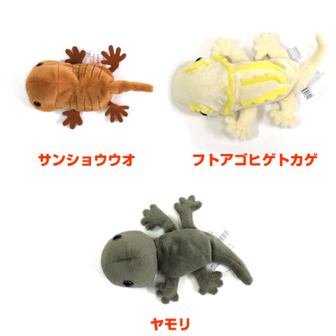 楽天市場 リトルビーンズ Reptiles ぬいぐるみ 爬虫類 トカゲ カメレオン ヤモリ サンショウウオ Little Beans Tst 小動物専門店ヘヴン