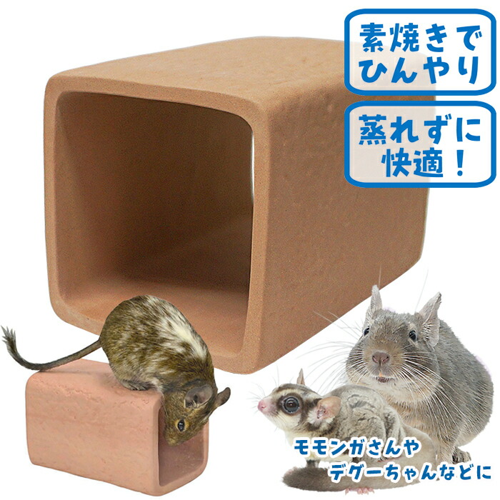 もこもこはうす♡デグー用 楽天市場】CASA デグーの砂浴びもできるハウス : 小動物専門店ヘヴン