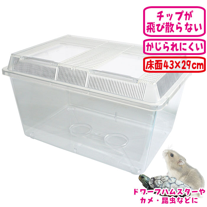 楽天市場】60センチ水槽＜メッシュフタ付き＞【一度のご注文で1個まで 