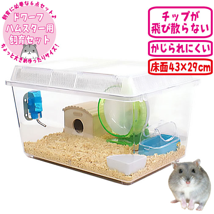 楽天市場】600ハムスターHIGH ゴールデンハムスター飼育セットII【B