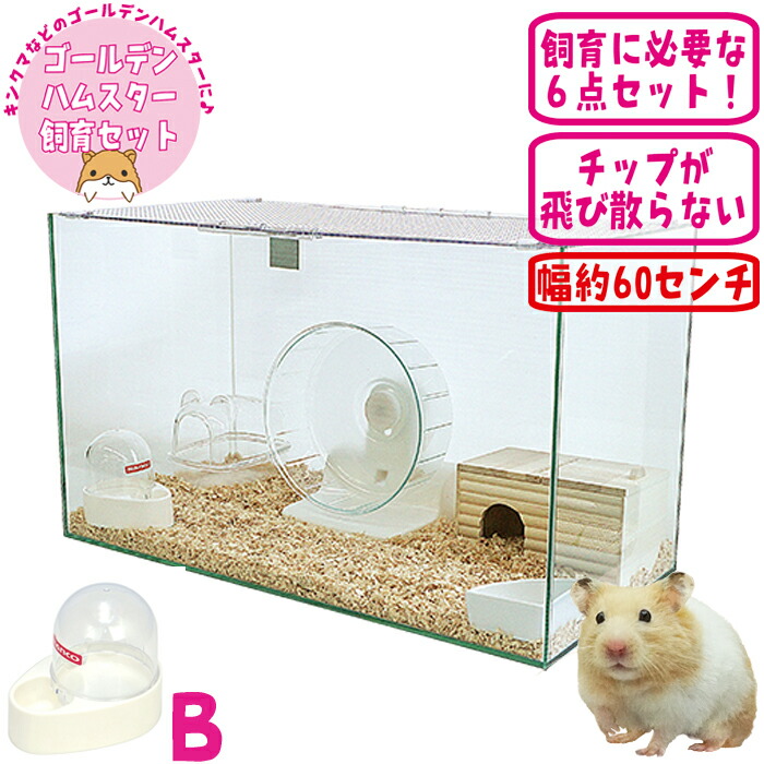 楽天市場】600ハムスターHIGH ゴールデンハムスター飼育セットII【A