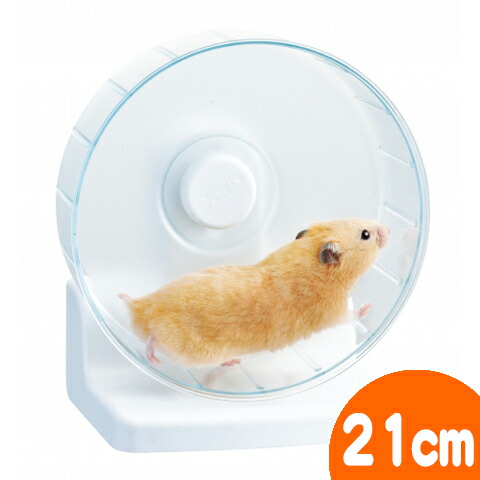 楽天市場】600ハムスターHIGH(グラステリア・パンチングボード