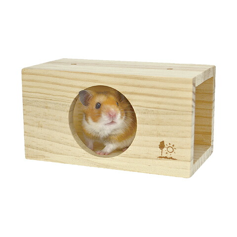 楽天市場】スクエアトンネル M/カクレガ おもちゃ 遊び場 デグー